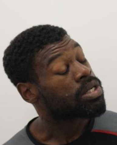 Ashley Malcolm custody image released by the Metropolitan Police